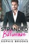 [Snowbound Billionaires 01] • Stranded With the Billionaire